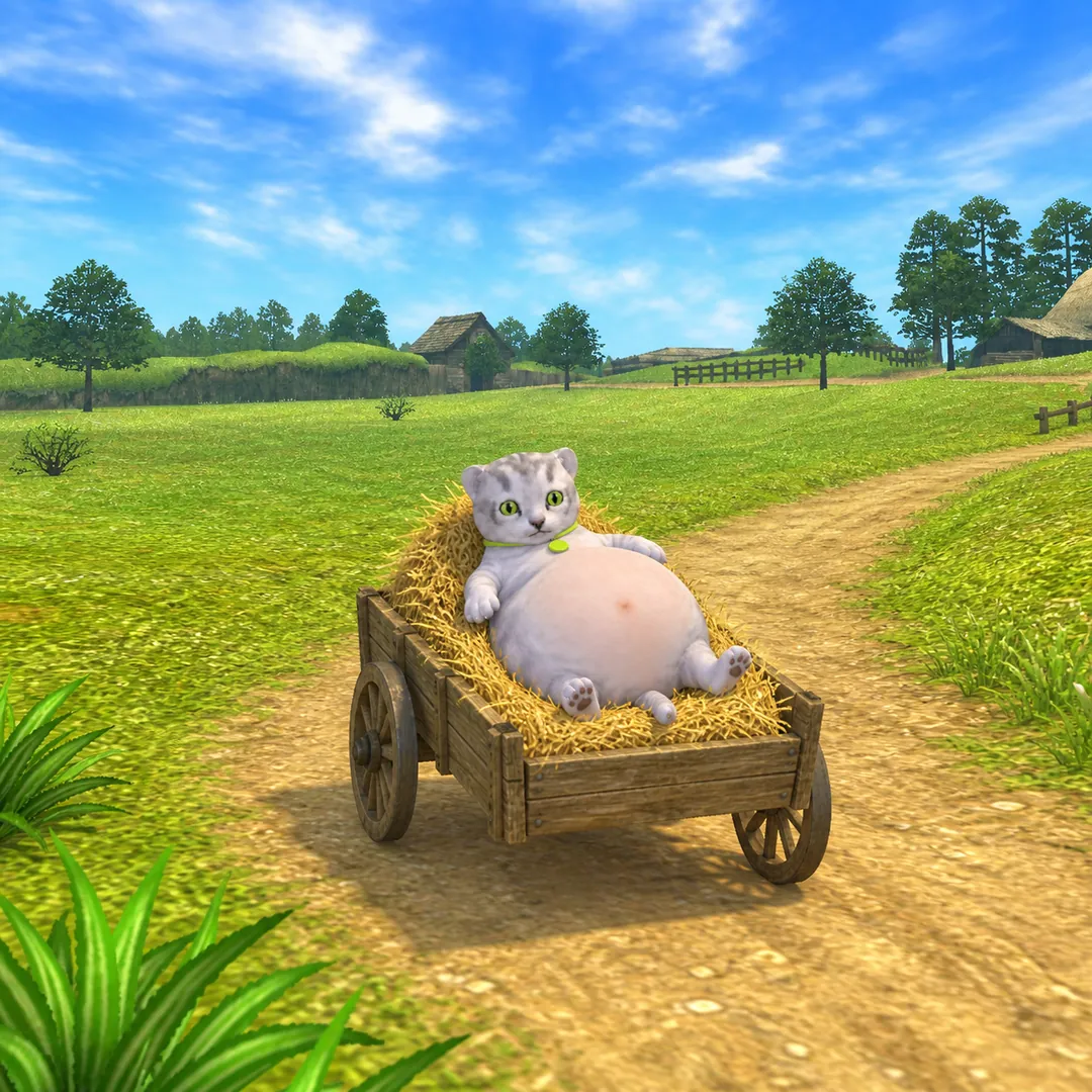 Tubby Cat picture