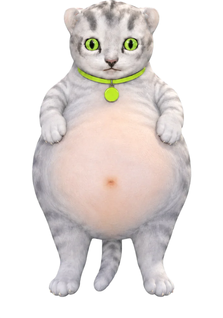 Tubby Cat standing with paws on his belly